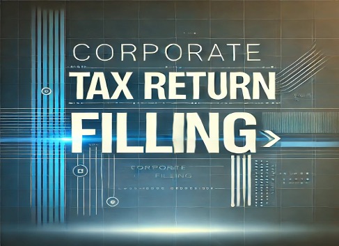 Alnayal Corporate Tax Return Filing Services 